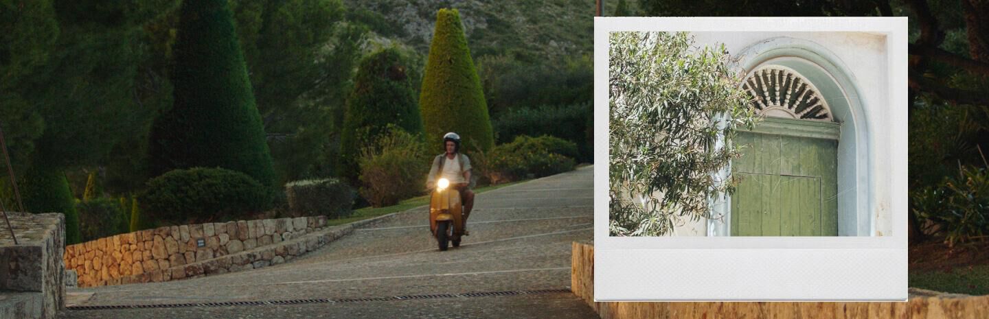 Med Escape Thyme Banner