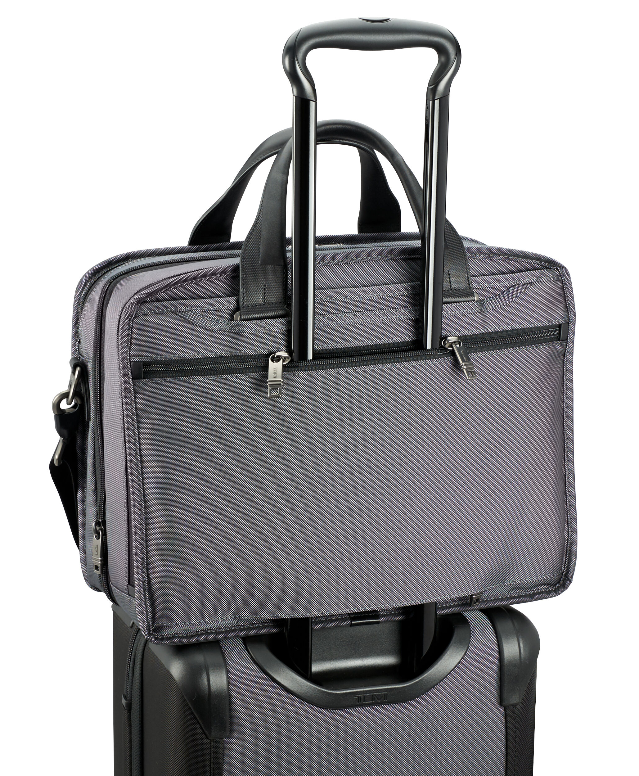 alpha 2 organizer brief